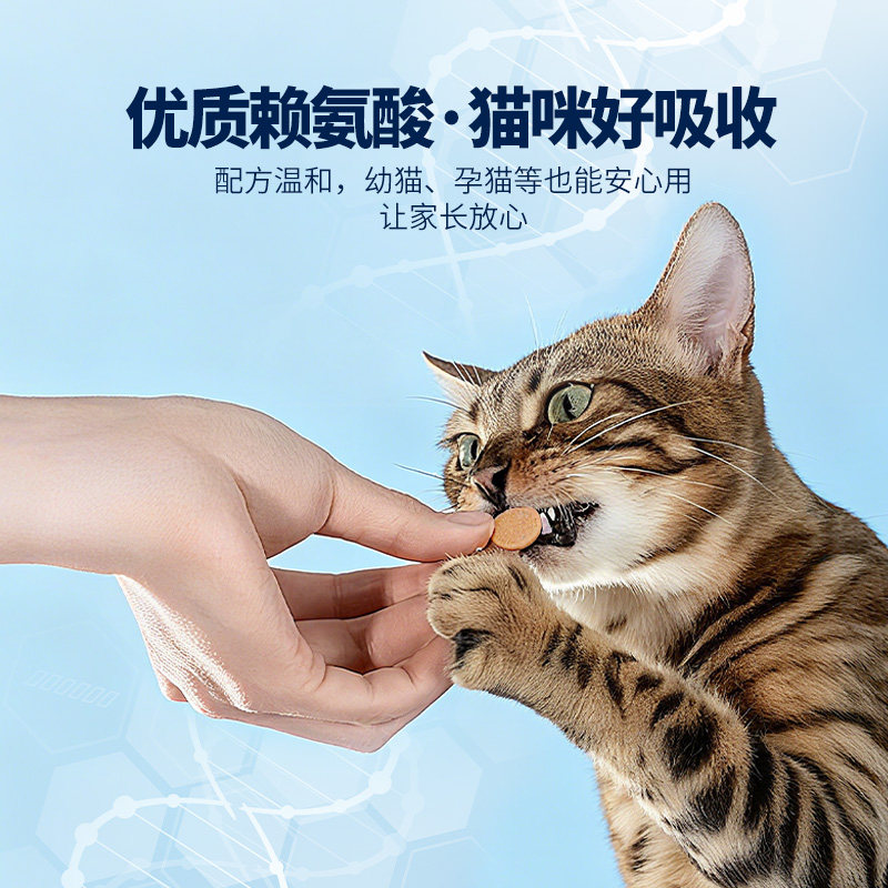 芊守猫氨片猫咪赖氨酸片鼻猫支胺猫用打喷嚏流眼泪安粉膏营养保健,淘宝优惠券,粉丝福利购,淘宝优惠卷