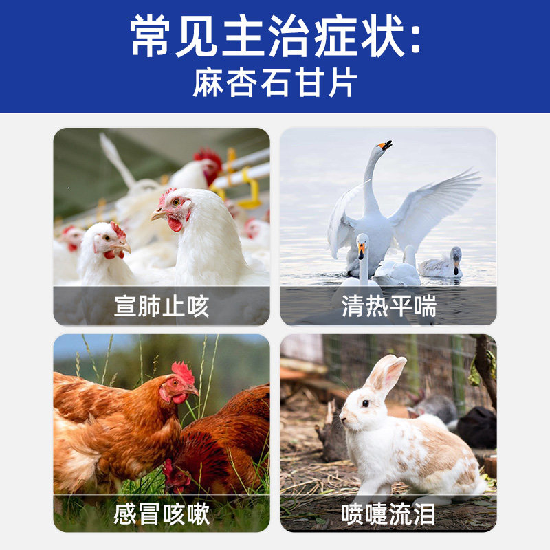 兽用麻杏石甘片猪用牛羊鸡鸭鹅药肺炎咳喘清肺止咳呼吸道正品兽药,淘宝优惠券,粉丝福利购,淘宝优惠卷