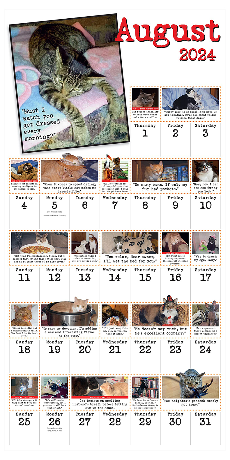 【预售】Bad Cat Wall Calendar 2024: Celebrating the Misfits of the Feline World 日历 挂历 英文原版 - 图2