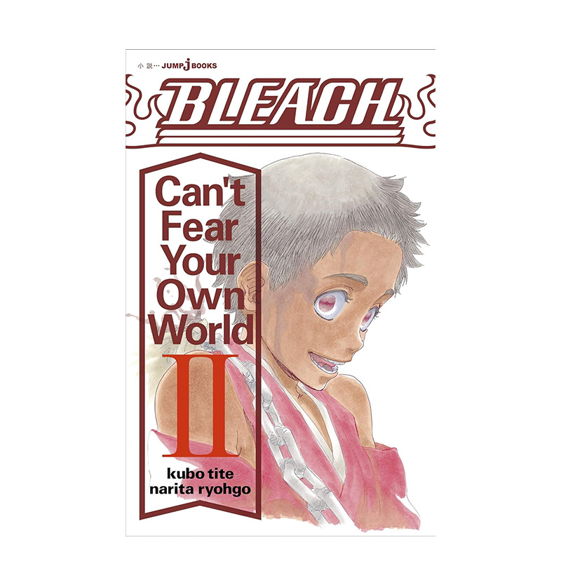 【预售】日文原版 BLEACH 小说 Cant Fear Your Own World 2 日文文学 日本正版进口书籍 善优图书 - 图0