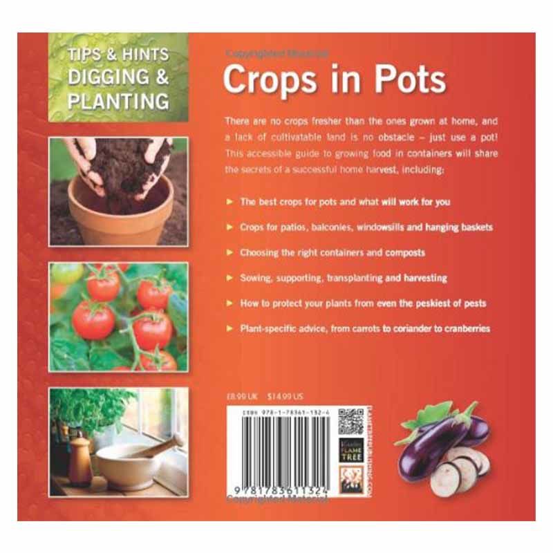 【现货】Crops in Pots,盆中作物 英文原版图书籍进口正版 Rachelle Strauss|Pippa Greenwood 生活综合 - 图0