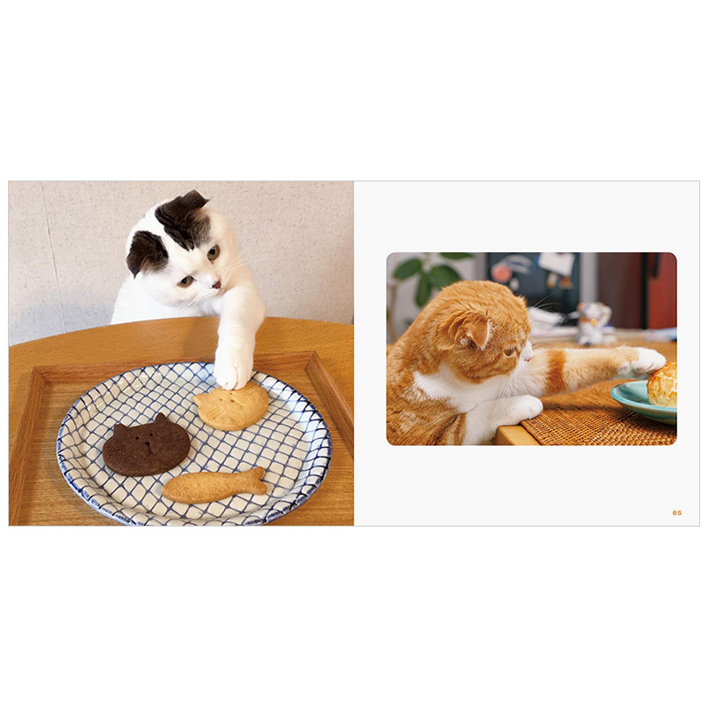 【预售】猫咪的手手2 もっと ねこのおてて PIE 日文原版进口图书摄影写真萌系动物宠物猫猫 图书 - 图3