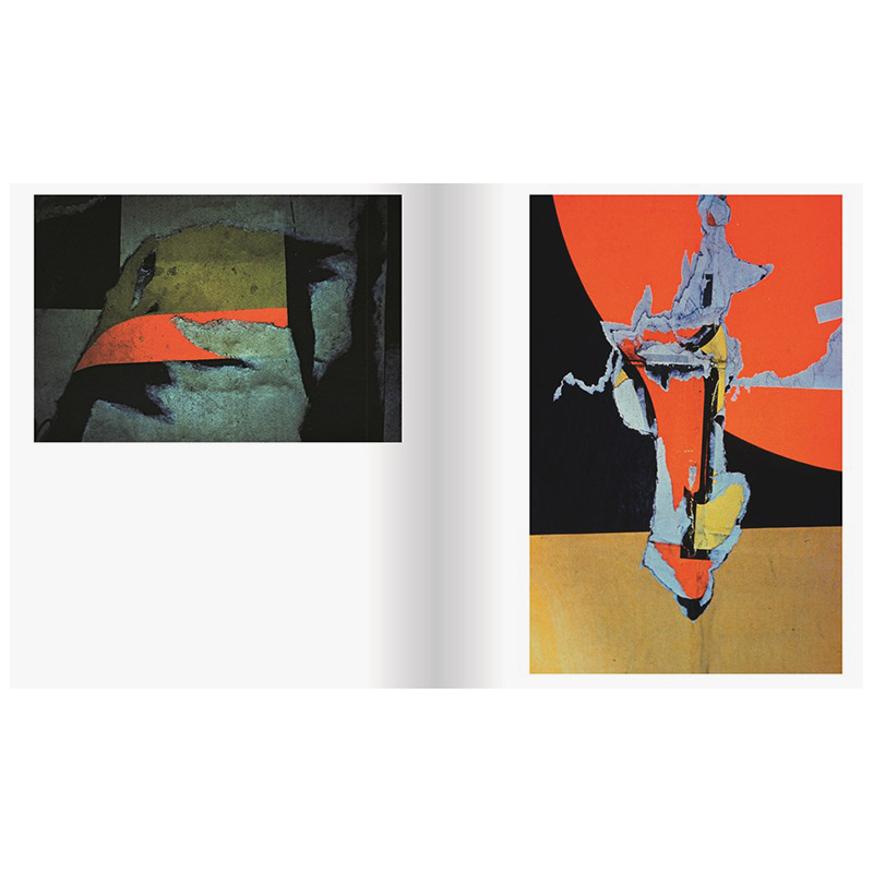 【预售】厄恩斯特·哈斯：抽象 Ernst Haas: Abstract原版英文摄影正版进口书-图2