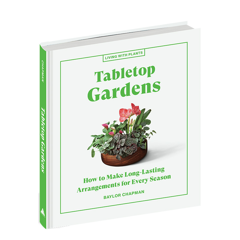 【现货】【与植物一起生活】桌上花园Tabletop Gardens 绿色空间花艺园艺精装彩图指南 英文原版 Baylor Chapman 图书 - 图0