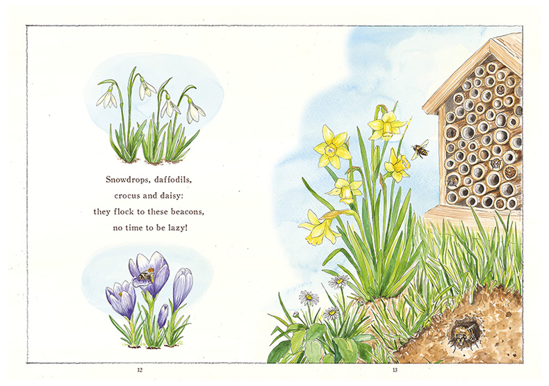 【现货】英文原版 It Starts with a Bee一切都是从一只小蜜蜂开始感知自然生态运作艺术插画 3-6岁英语儿童进口绘本-图1