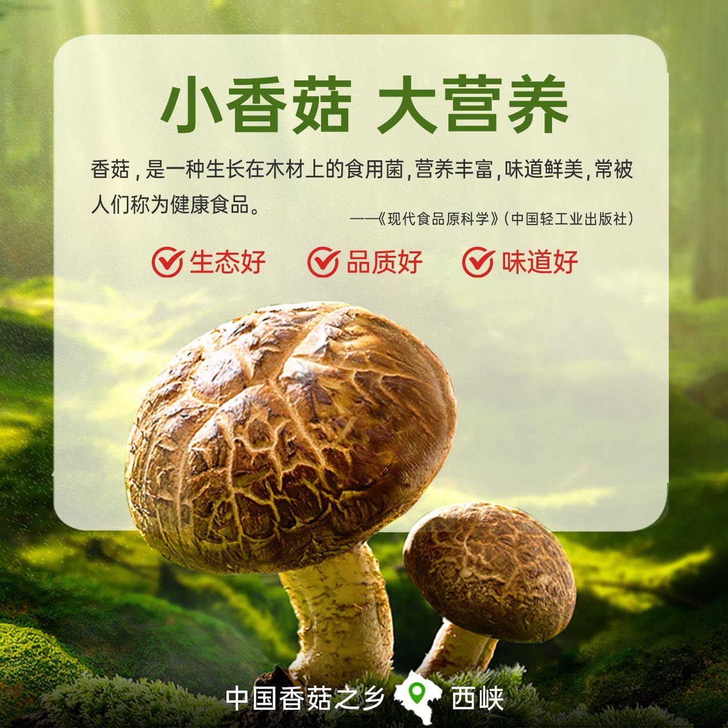 仲景菌菇牛肉酱170g拌饭酱拌面酱下饭五香不辣香菇夹馍酱劲道,淘宝优惠券,粉丝福利购,淘宝优惠卷