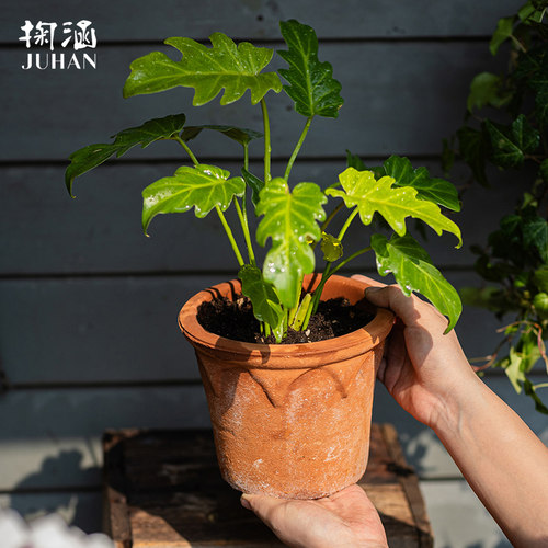 陶土花盆粗陶透气红陶田园风复古怀旧老式多肉花盆陶瓷泥瓦盆陶盆 - 图2