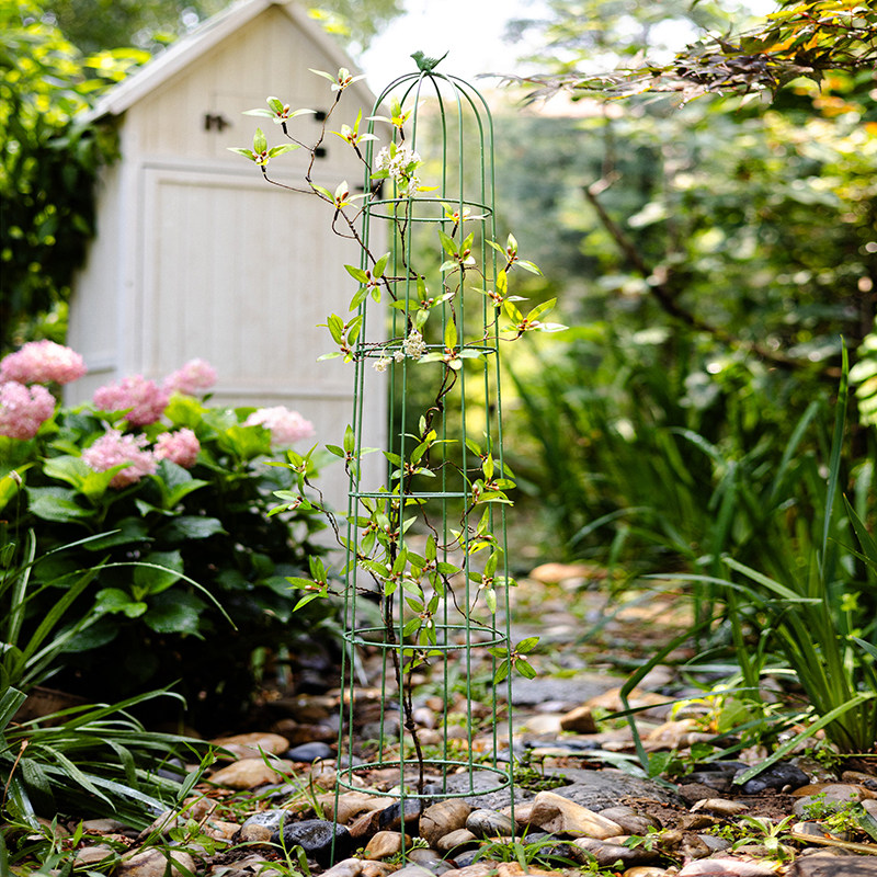 户外铁艺爬藤架月季铁线莲花盆支架阳台种菜园艺支撑杆防倒伏花架,淘宝优惠券,粉丝福利购,淘宝优惠卷