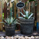 Retro old flowerpot wabi-sabi style black imitation rough clay