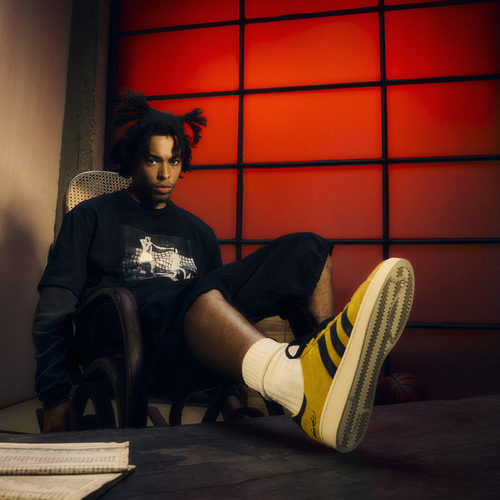 Jabbar Lo x Bruce Lee 联名板鞋adidas Originals阿迪达斯三叶草 - 图1