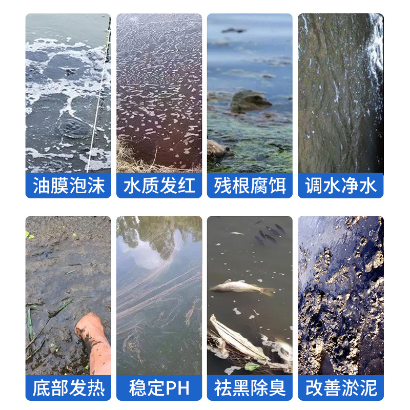 八控底改水产养殖生物底改鱼虾蟹塘增氧调水分解淤泥除臭鱼塘净水 - 图1