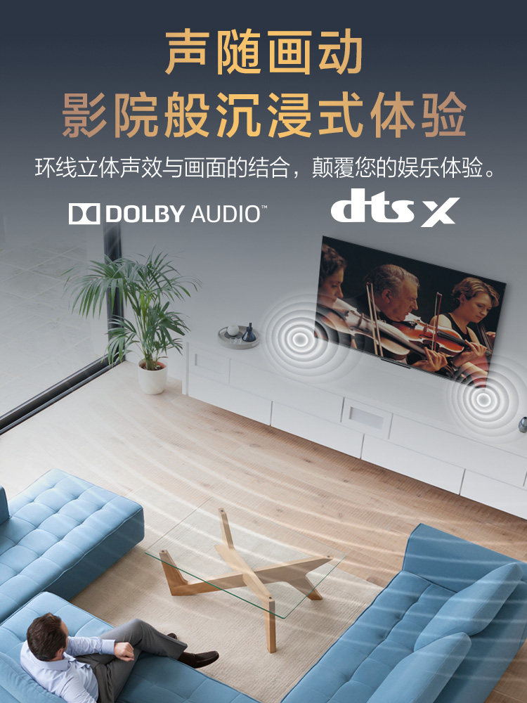  松下鸿锦平板电视