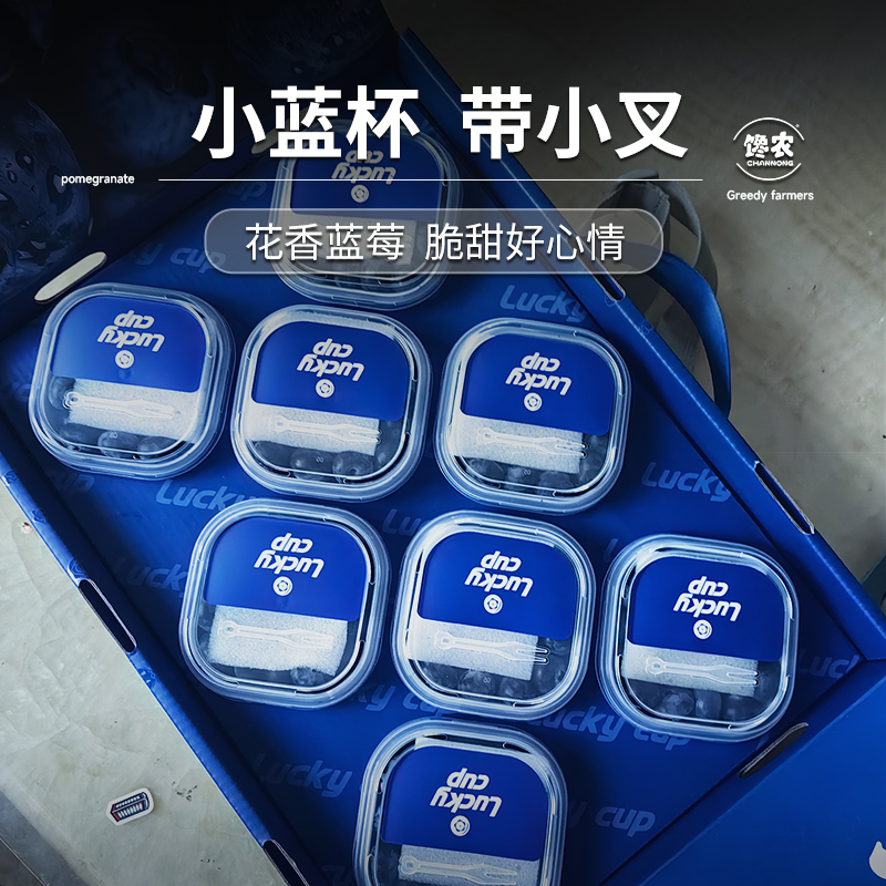 当季现摘云南花香蓝莓鲜果甜脆大果新鲜水果luckycup小蓝杯方杯装