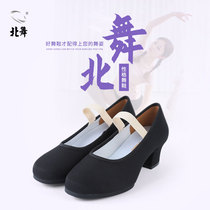 North Dance Teacher Dance Shoes Personality Dance Shoes Black Heel Examination Class Special Children Practice Shoes National Inn Royale Ballet Adults