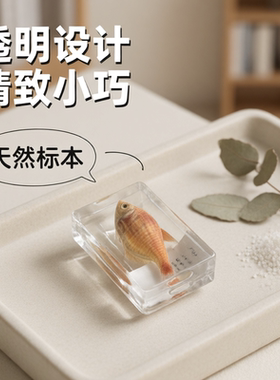 小动物滴胶树脂标本仿真高清