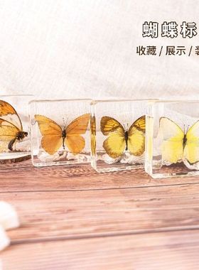 水晶滴胶景区树脂昆虫标本蝴蝶