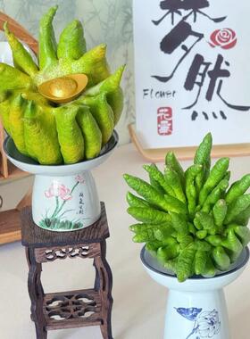 佛手柑专用托盘古风禅意青花瓷蝴蝶兰多肉容器盆观赏佛手瓜摆厂家