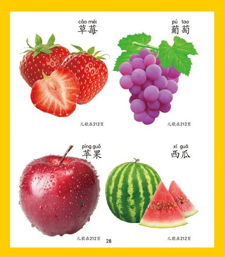 认物大全儿童早教书启蒙认知书宝宝看图识字认物卡片婴幼儿童书籍 - 图3