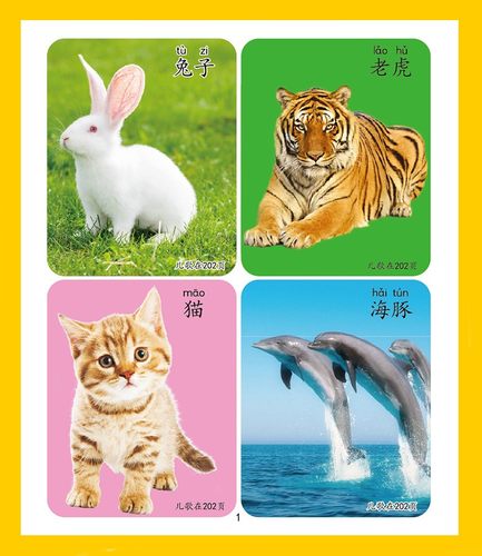 认物大全儿童早教书启蒙认知书宝宝看图识字认物卡片婴幼儿童书籍 - 图2