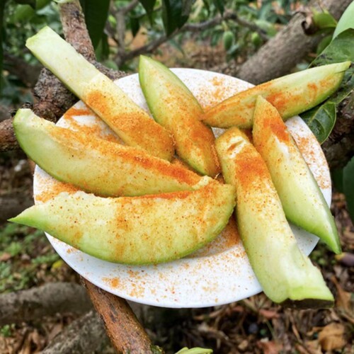广西酸脆生吃芒果青芒果腌制芒果芽象牙芒当季水果3斤装 - 图1