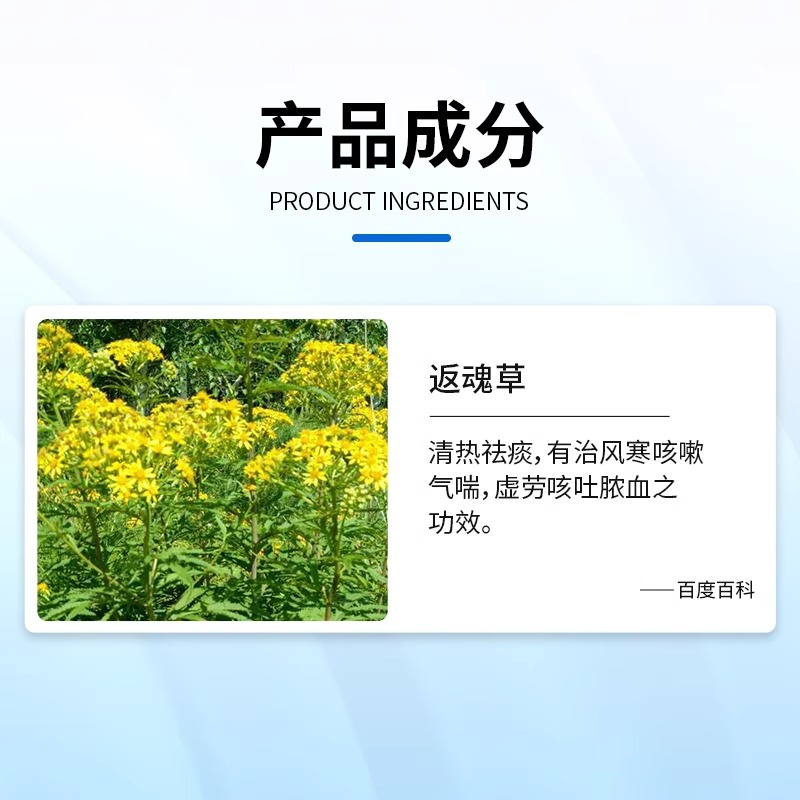 修正药业肺宁颗粒10袋清热祛痰止咳化痰慢性支气管炎咳嗽咳嗽药