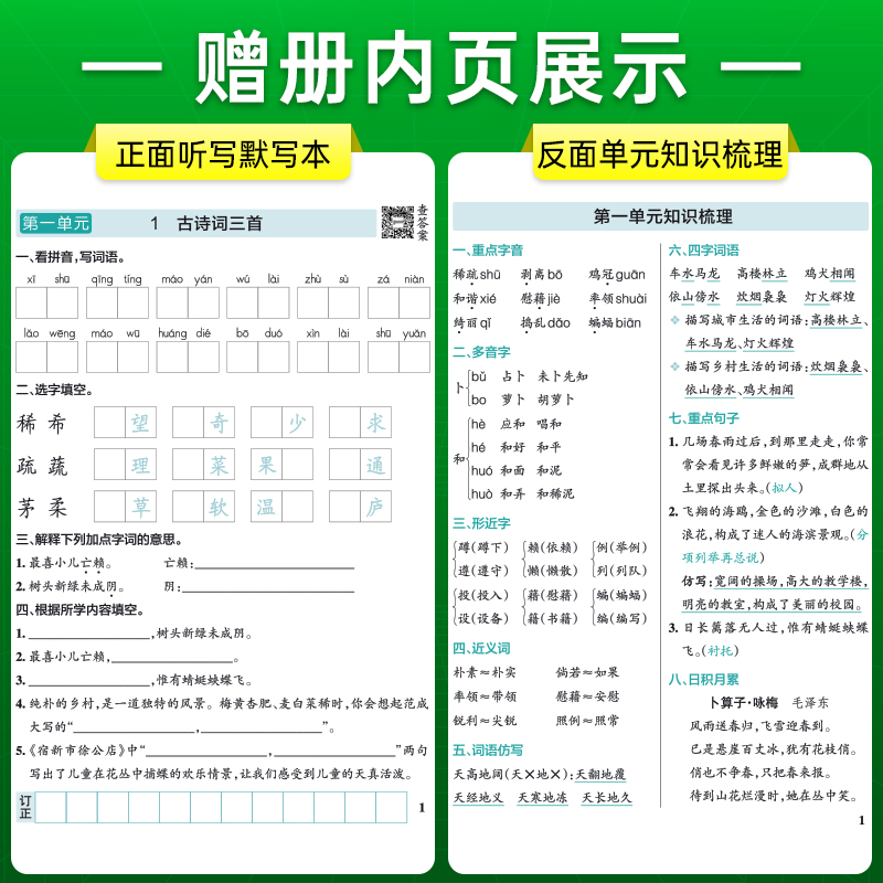 2025小学学霸天天写字四年级上册下册小学生练字帖天天练人教版语文生字描红练字本看拼音写词语pass绿卡图书练习写字硬笔书法字帖