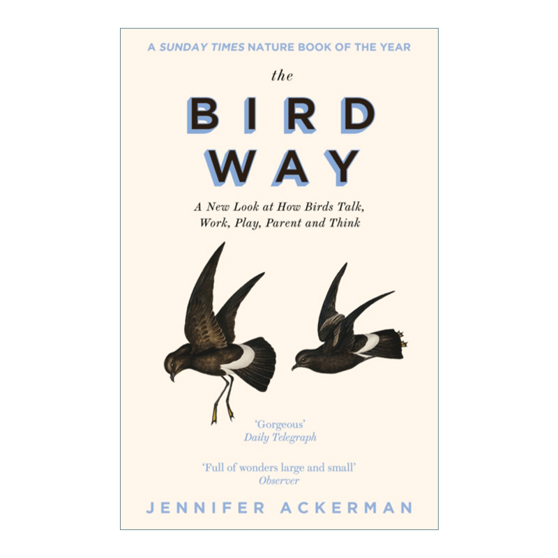 英文原版 The Bird Way 鸟 重新审视鸟类如何说话 工作 玩耍 育儿和思考 英文版 进口英语原版书籍