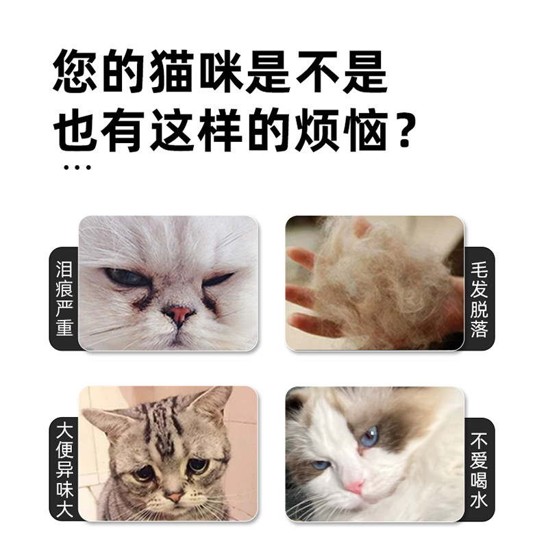 mioo生骨肉成猫粮罐头幼猫饭零食全阶主食罐湿粮金枪鱼牛肉非冻干,淘宝优惠券,粉丝福利购,淘宝优惠卷