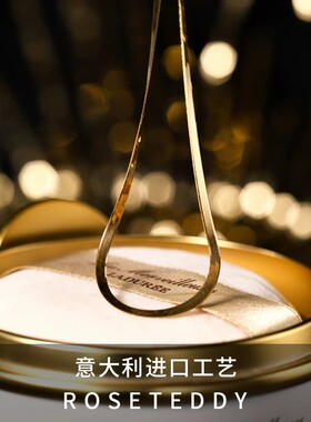 金色高级感蛇骨链轻奢小众不掉色