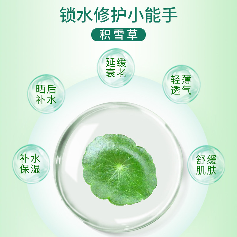 韩国老虎积雪草面膜男女补水复活草 yazimiqi涂抹面膜