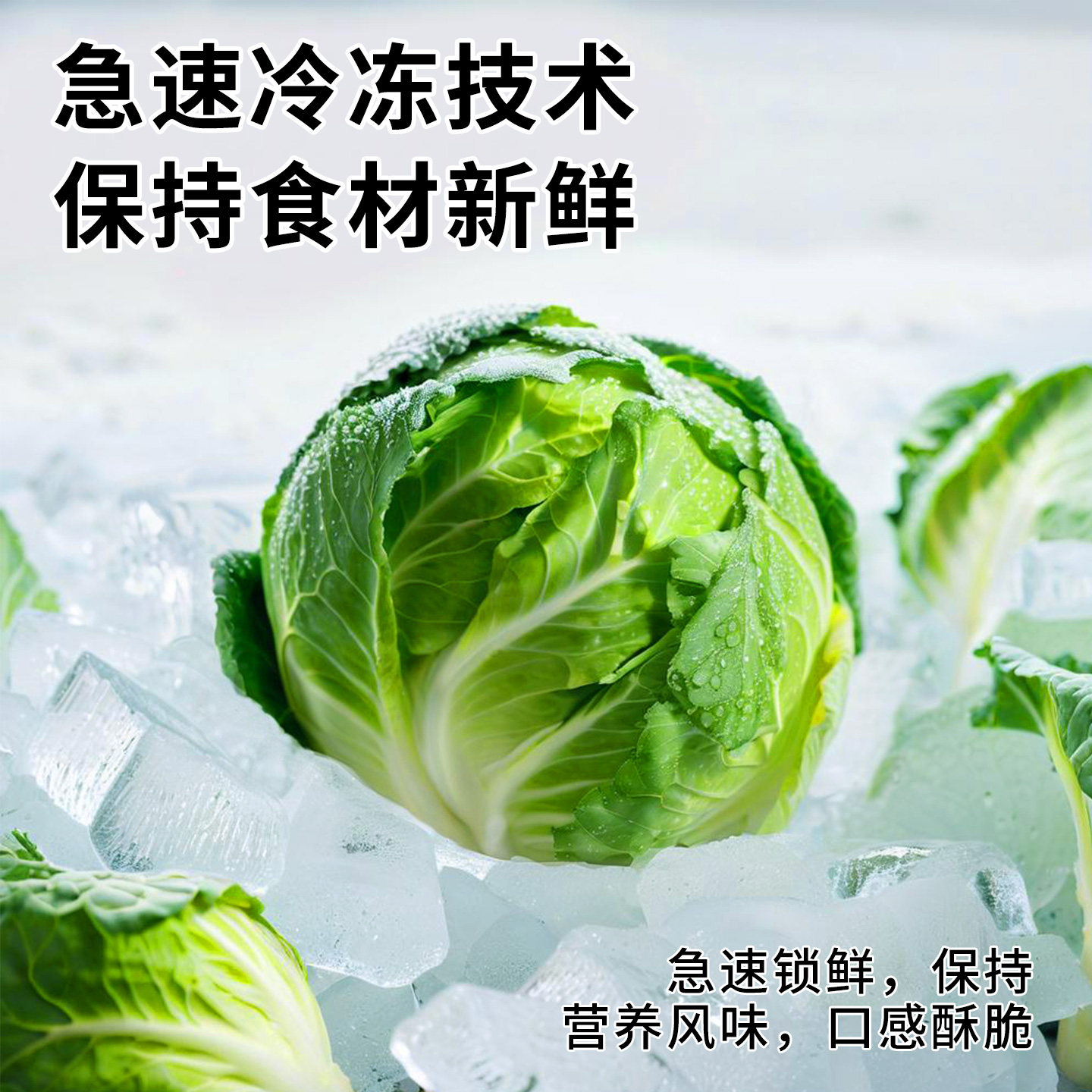 冻干孢子甘蓝狗零食果蔬菜包菜大小型犬磨牙宠物狗狗训练奖励零食,淘宝优惠券,粉丝福利购,淘宝优惠卷