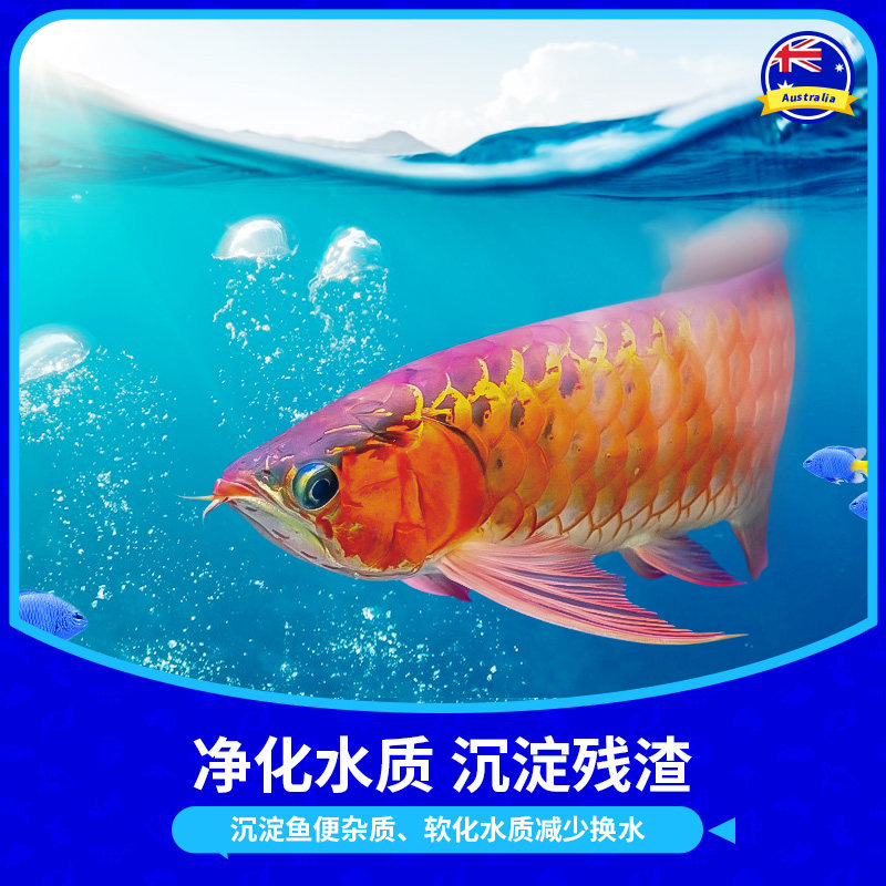 澳洲汤本臣鱼愈11号鱼缸净水剂净化澄清水质除绿水黄水神器一滴清,淘宝优惠券,粉丝福利购,淘宝优惠卷