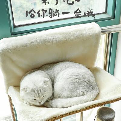 猫咪吊床猫笼挂钩挂窝挂式猫窝阳台悬挂式窗台晒太阳笼子小猫秋千 - 图0