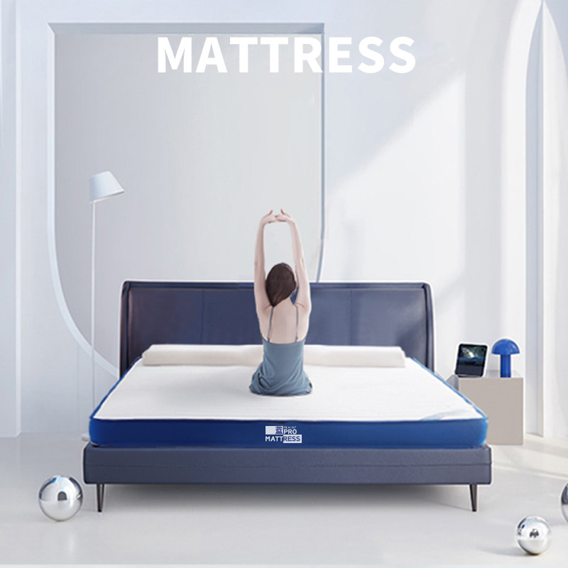 海澜之家乳胶海绵软垫家用宿舍床垫 海澜之家家纺床垫/床褥/床护垫/榻榻米床垫