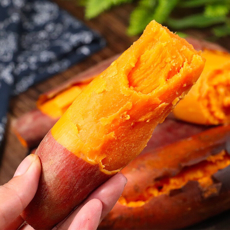 西瓜红新鲜5斤蜜薯糖心板栗薯山芋 喜思农场番薯