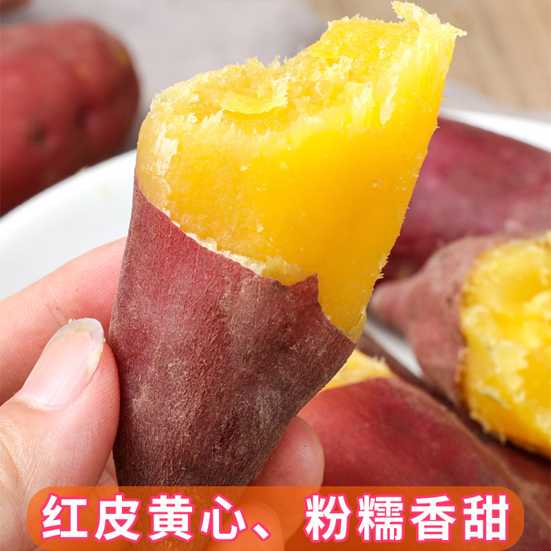 临安天目山小香薯正宗新鲜板栗红薯 喜思农场番薯