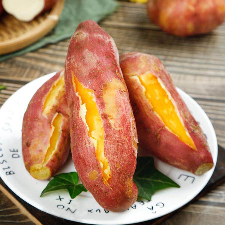 陕西临潼板栗红薯蜜薯现挖新鲜地瓜番薯农家自种小香薯非桥头地瓜