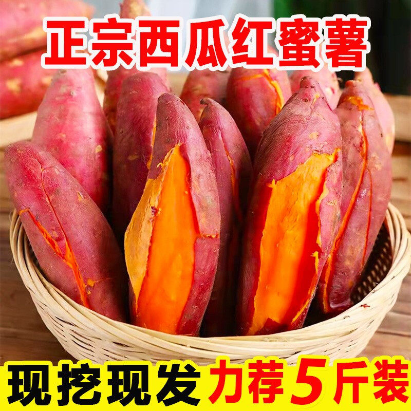 西瓜红新鲜5斤蜜薯糖心板栗薯山芋 喜思农场番薯