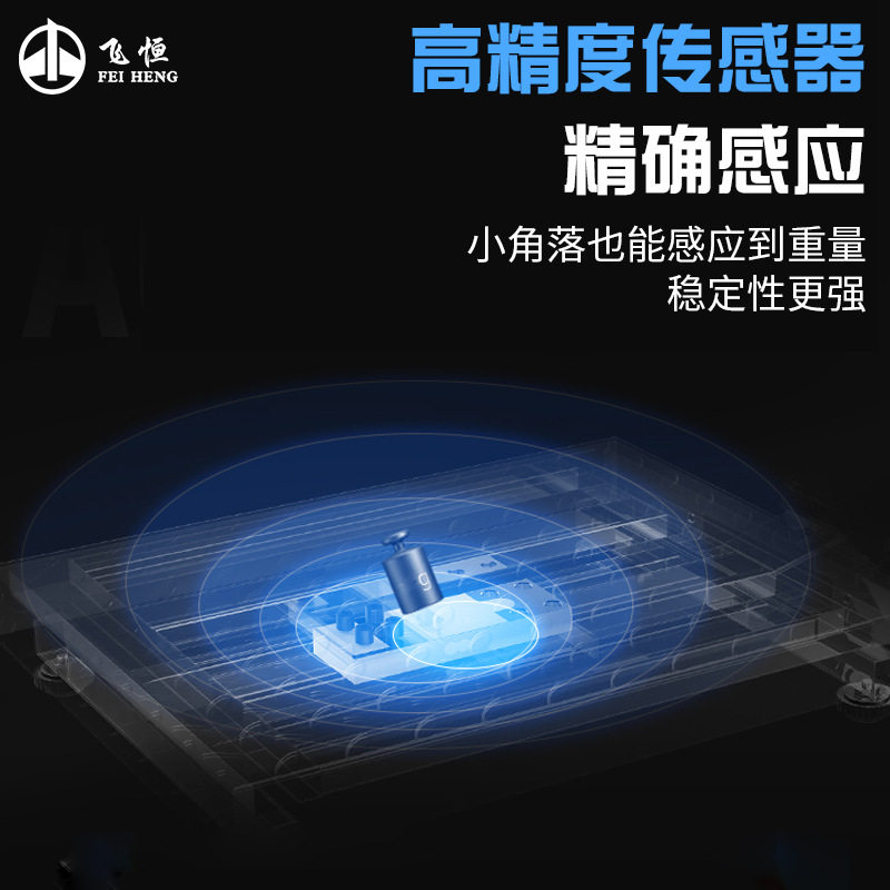 飞恒E218C计数100kg高精度台式精准电子称磅秤200公斤落地电子秤