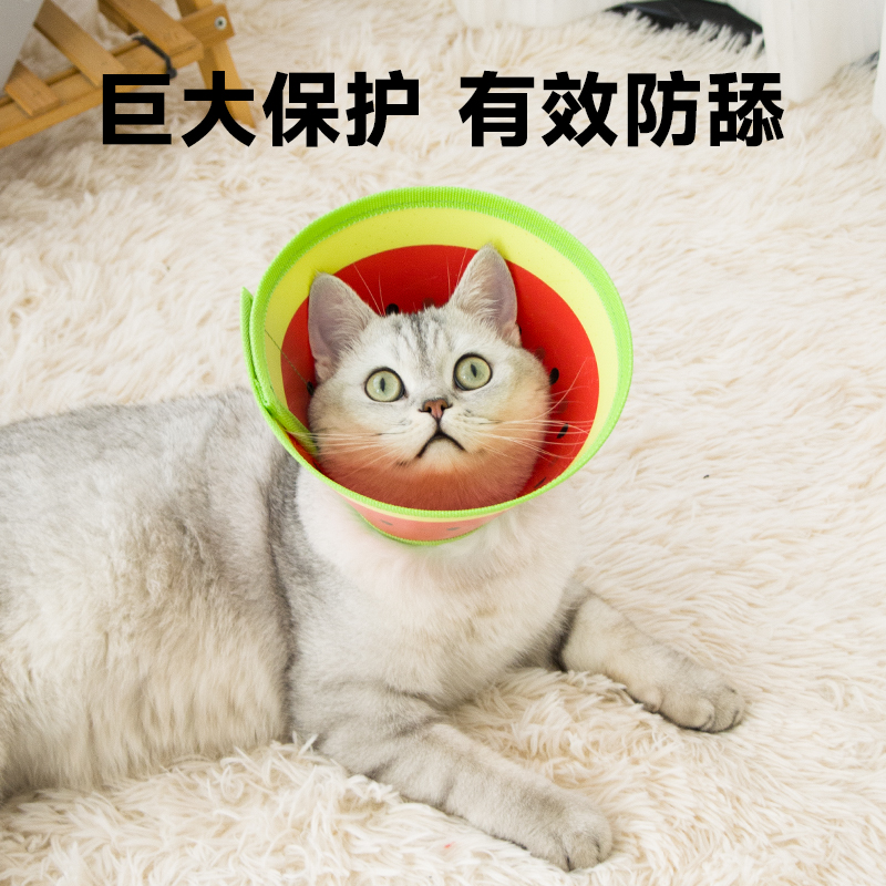 派派猫伊丽莎白圈猫绝育项圈防舔PU柔软脖圈颈圈头套狗狗宠物用品 - 图0