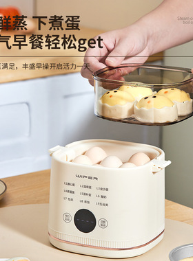 溏心蒸蛋机煮蛋器多功能