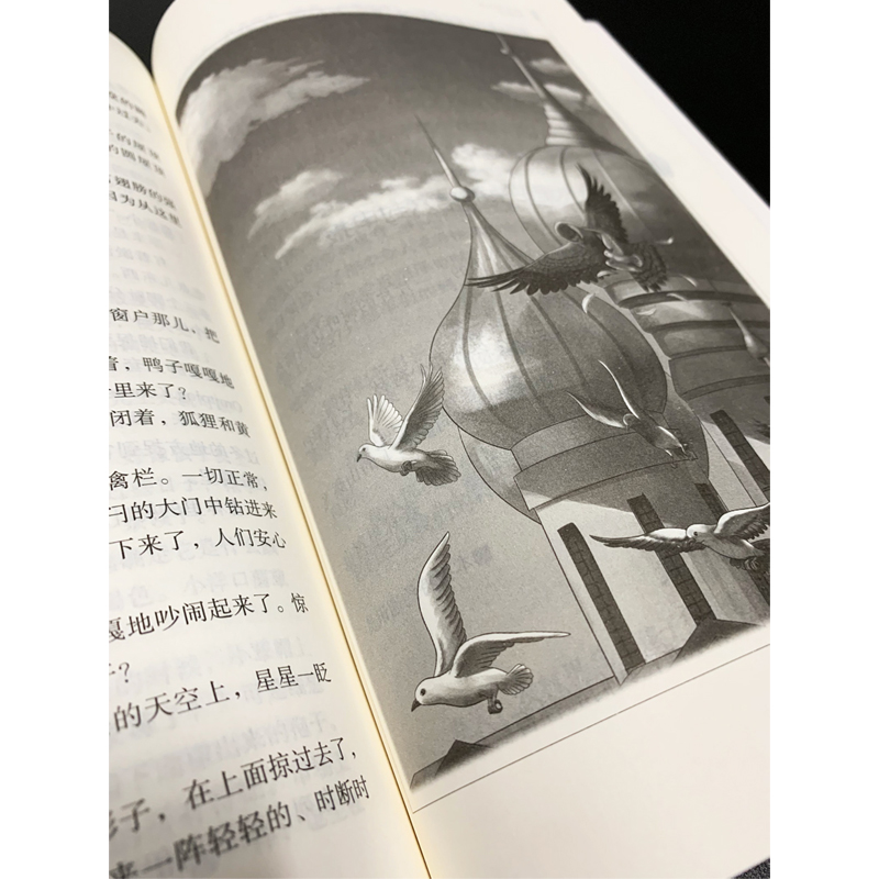 森林报春夏秋冬全集合集森林报正版四年级下册必读小学生课外阅读书籍4年级 南方出版社 绘本故事书 苏联唯比安基著三年级 - 图2