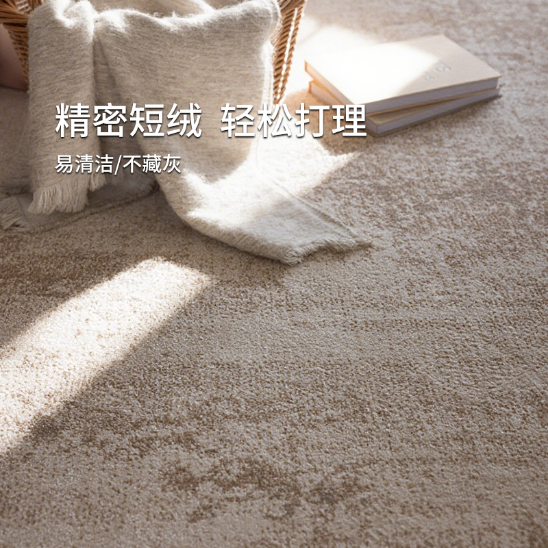 无胶无甲醛客厅地毯防水防污现代简约轻奢高级感沙发茶几2025新款 - 图2