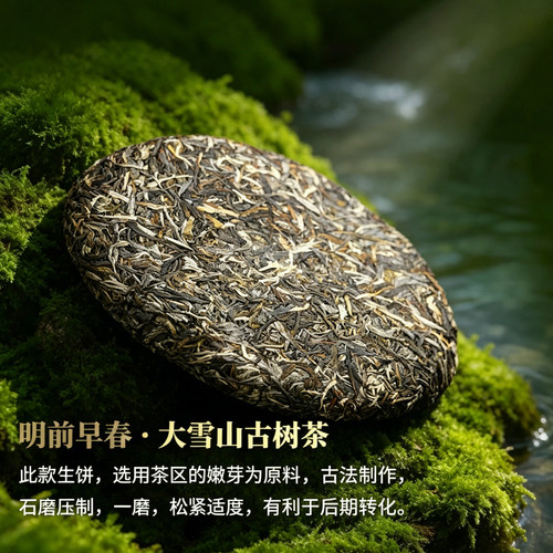 大雪山普洱茶2010年头春茶宜关古树老茶云南七子饼茶叶官方旗舰店 - 图2