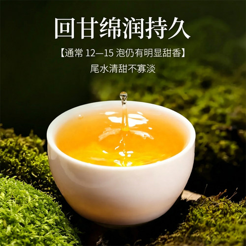 大雪山普洱茶2010年头春茶宜关古树老茶云南七子饼茶叶官方旗舰店 - 图0