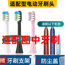 Pleasant to apply QBM thousands of Sunny Electric Toothbrush Head Model Z8 Replacement Head Adult Sound Wave Automatic Soft Hair