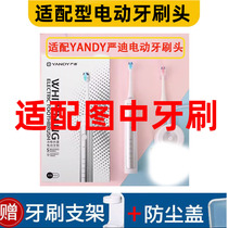 Pleasant to adapt YANDY Yan Dy Electric Toothbrush Head YD01 Universal Replacement Head Cleaning Type 6 Support