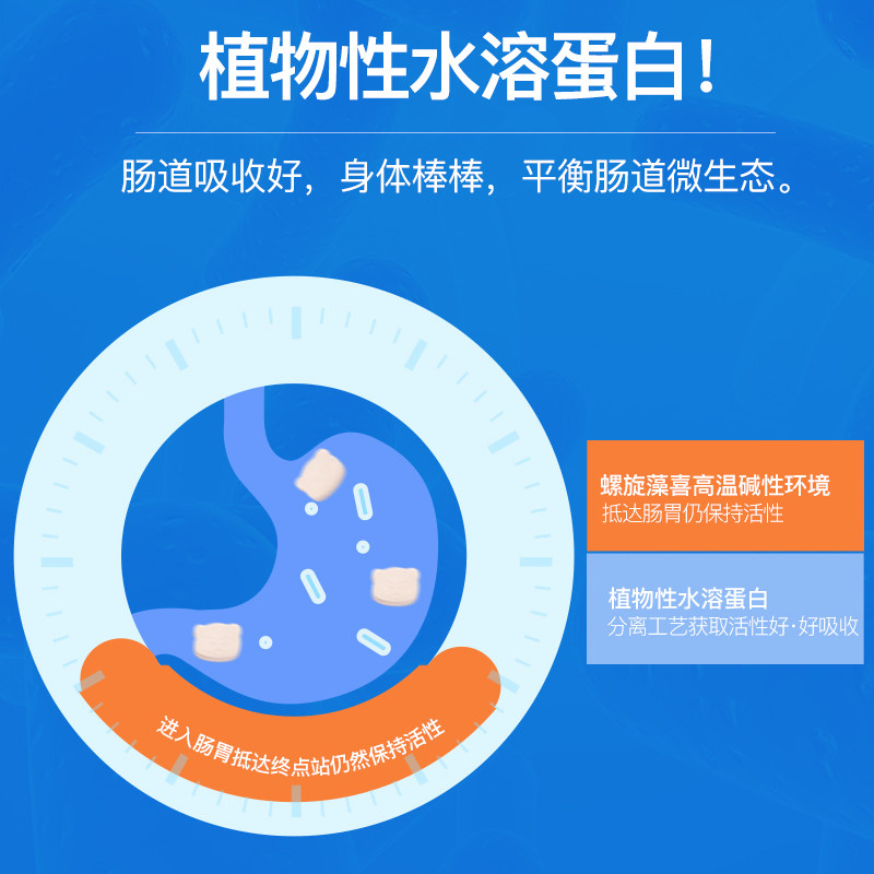 必慧龙螺旋藻蛋白成人营养咀嚼片 晋德食品糖果