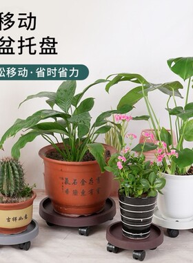 重物移动托盘水桶移动底座重物移动托架桶装水移动托盘承重万向轮