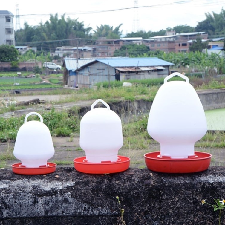 A水槽饮水壶水桶小鸡喝水饮水器自动喂水器喂鸡水壶养鸡设备用品 - 图2